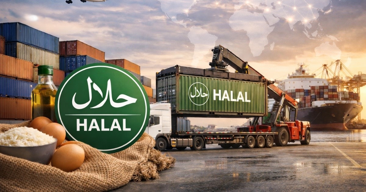 1770111093955_tam-quan-trong-cua-halal-logistics.jpg