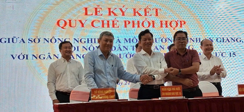 gen-n-Toa dam ngan hang (3