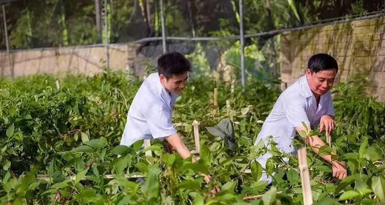 Đại Ơhus An hiện có một mô hình phát triển khép kín bao gồm từ vùng trồng dược liệu Tây Bắc, nhà máy sản xuất nam được đến nghỉ dưỡng.