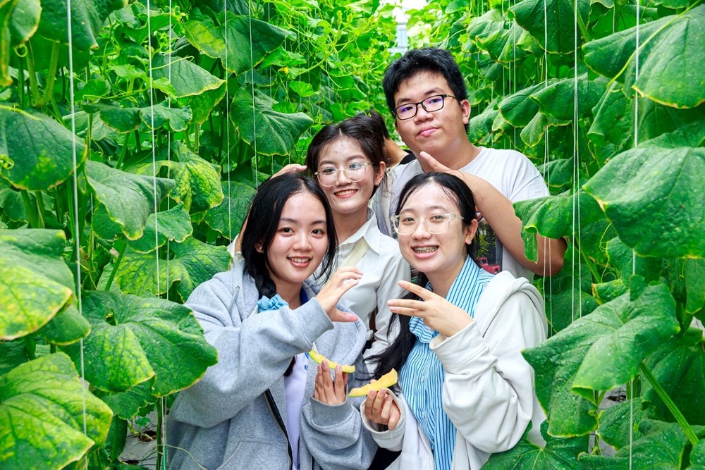 Đánh thức “cửa ngõ bầu trời” của Đồng bằng sông Cửu Long - ảnh 4