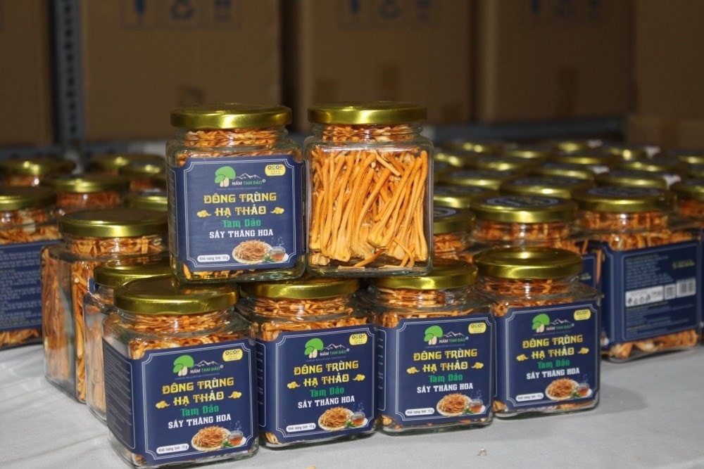 Kỳ vọng khởi sắc du lịch hè ở Tam Đảo - ảnh 5