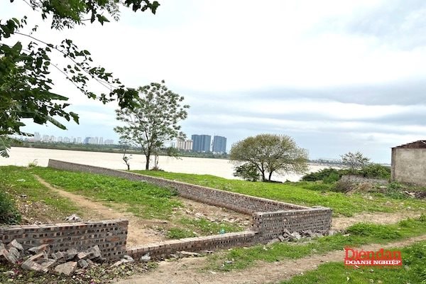 Bản sao IMG_3178 2