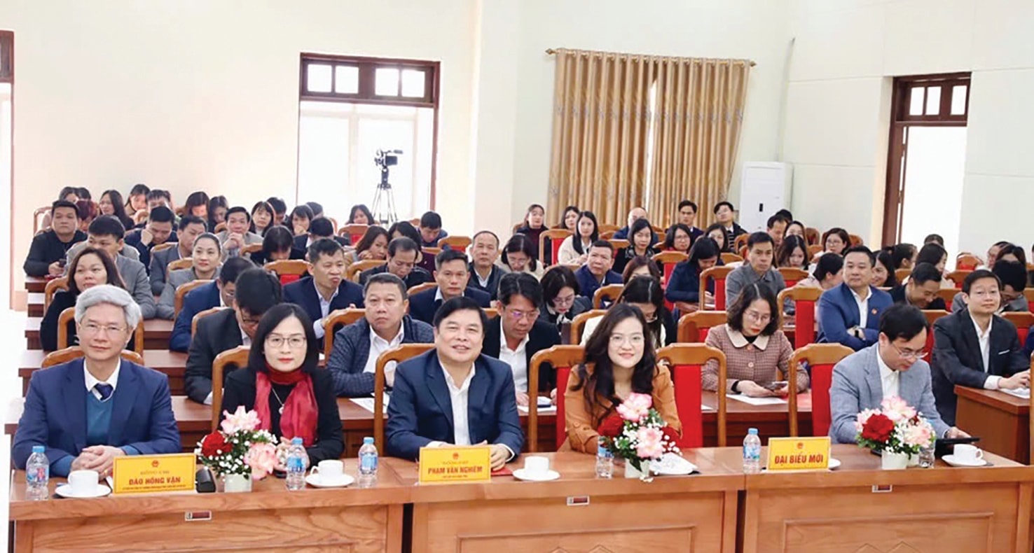 noi vu hy