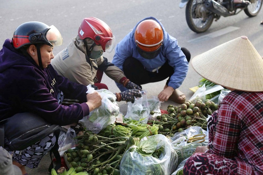 Đề nghị ghi danh Hội Chợ Gò - Trường Úc là Di sản văn hóa phi vật thể quốc gia - ảnh 1