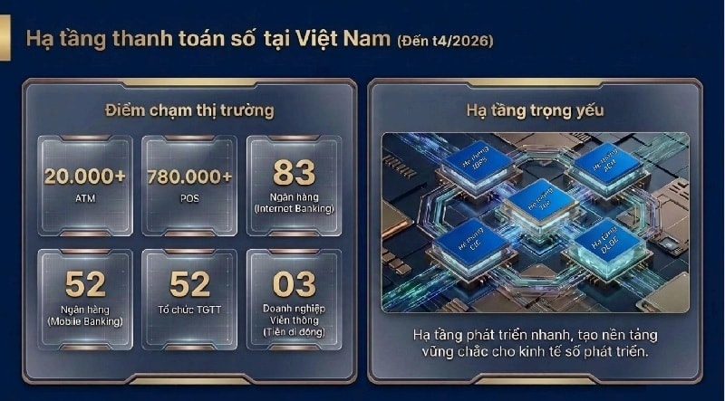 Anh Tuấn 2