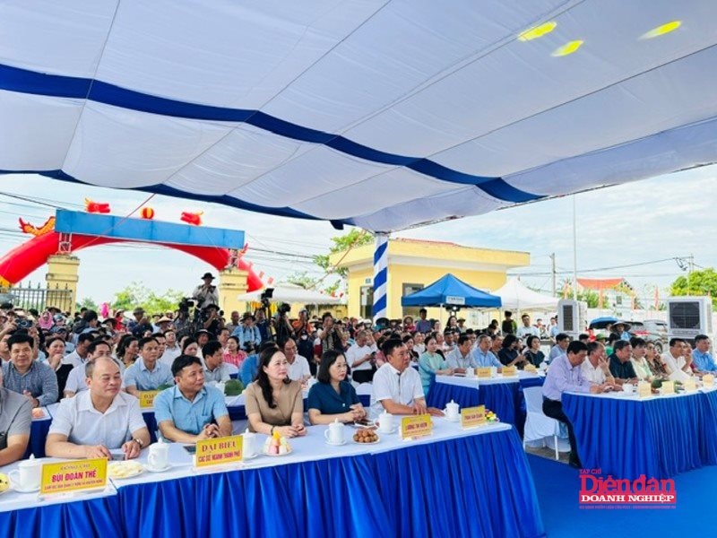 IMG_0802 (1)