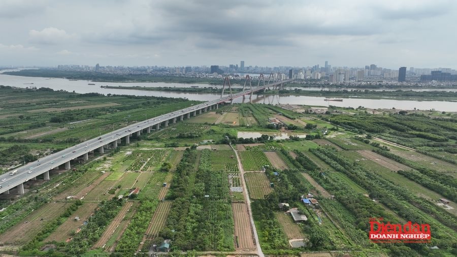 DJI_0598 (1)
