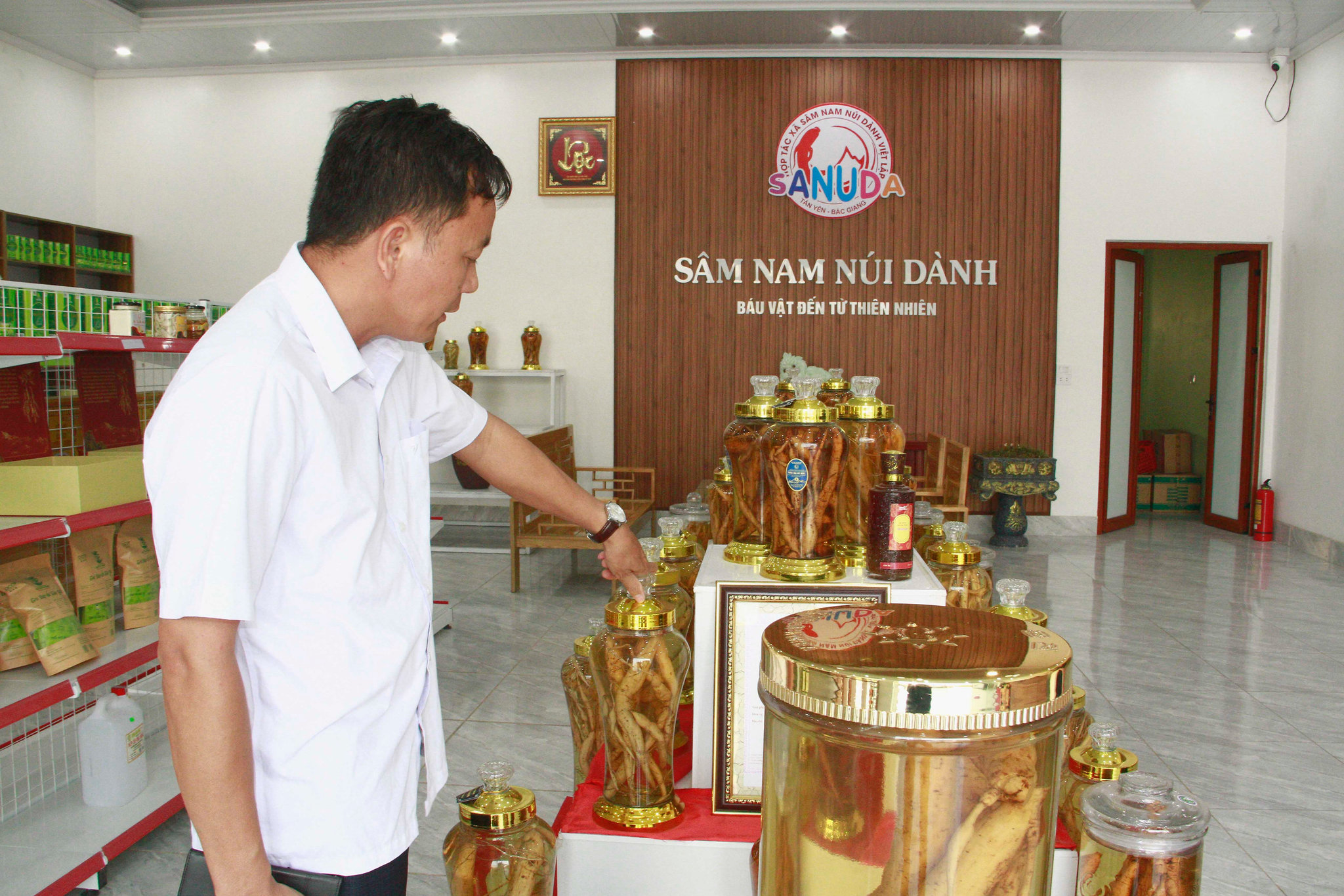 sâm nam