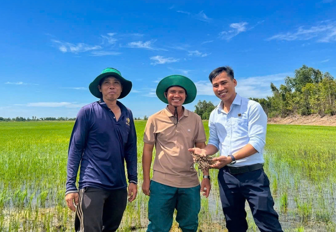 Niềm vui của ông Nguyễn Văn Đủ (giữa) khi rơm rạ vụ trước đã phân hủy tốt, không còn lo ngại ngộ độc hữu cơ