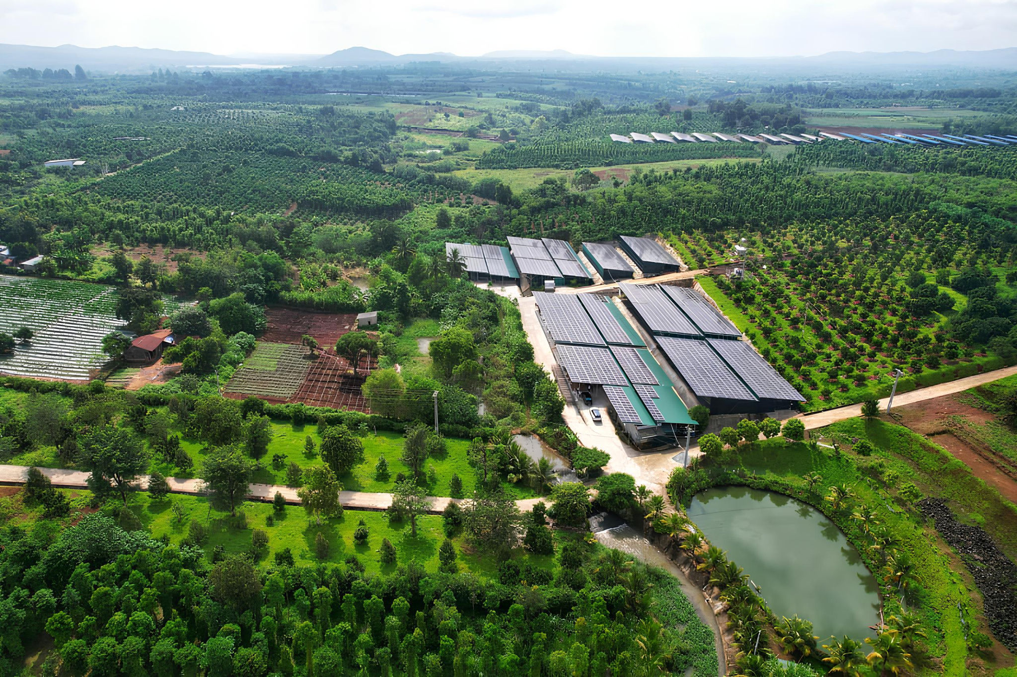 Trang trại nấm Thành Đồng