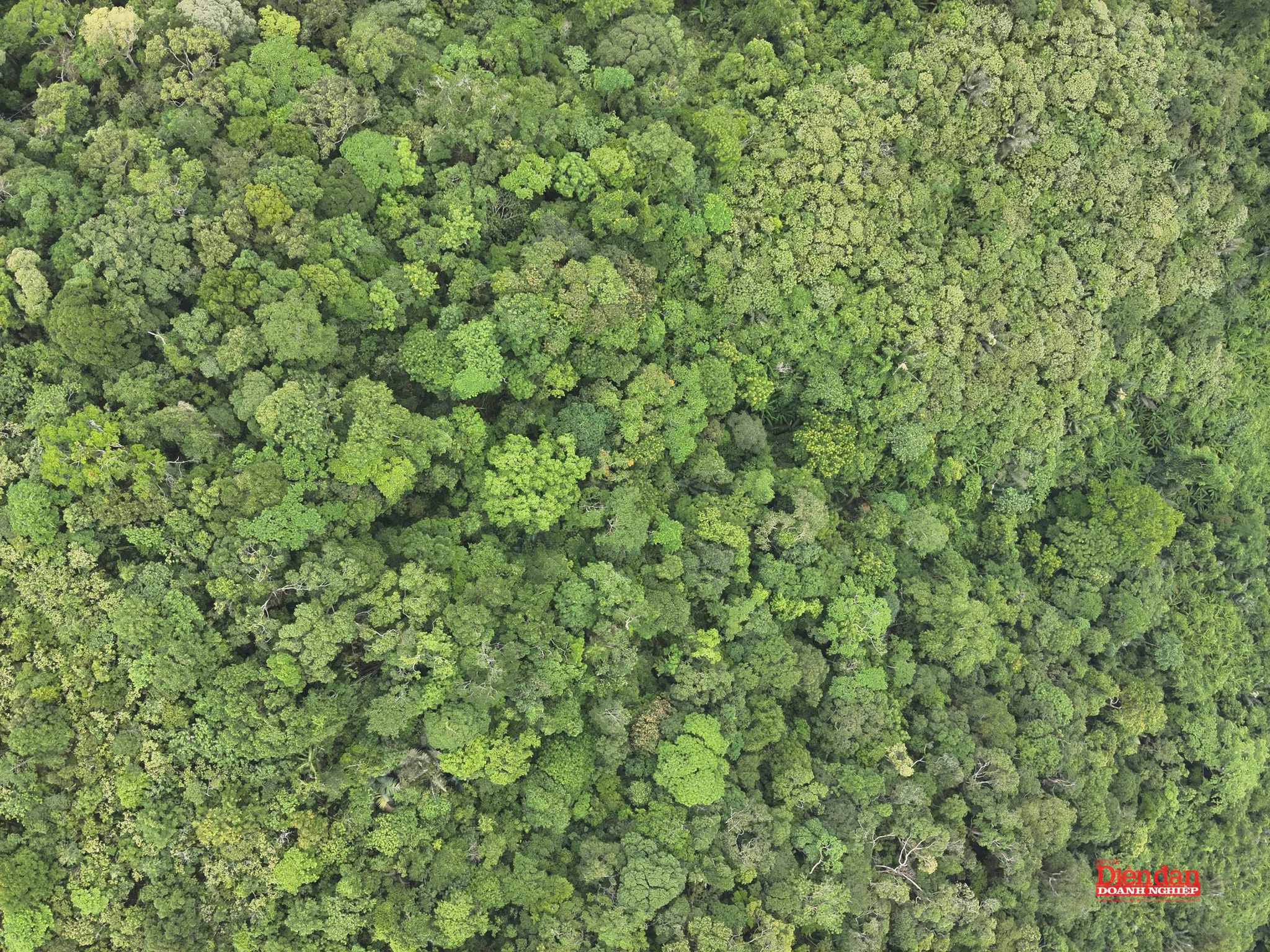z7974565911691_0ca1f99e90556e72723100395e49918d.jpg