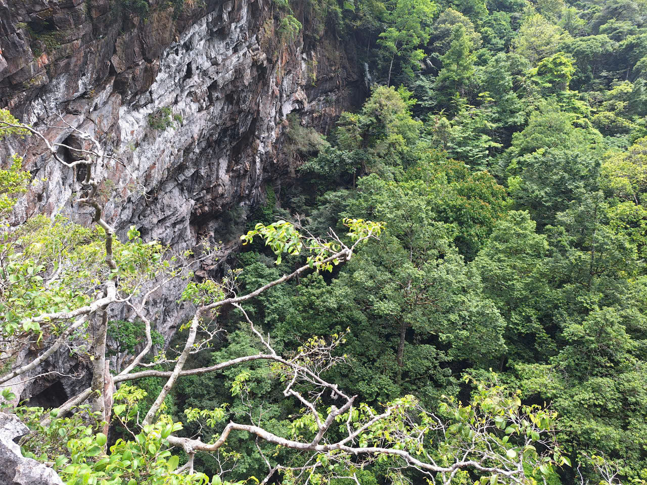 z7974547859547_1428da0df0e4a6e9df6abf8fd19f6b0f.jpg