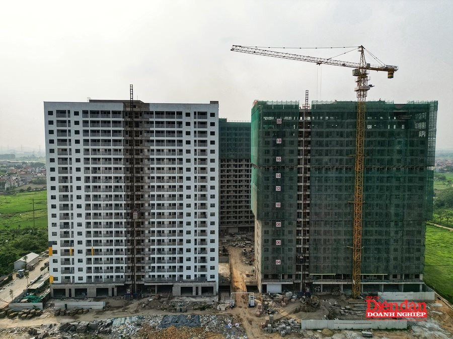 DJI_0215-01 (1)
