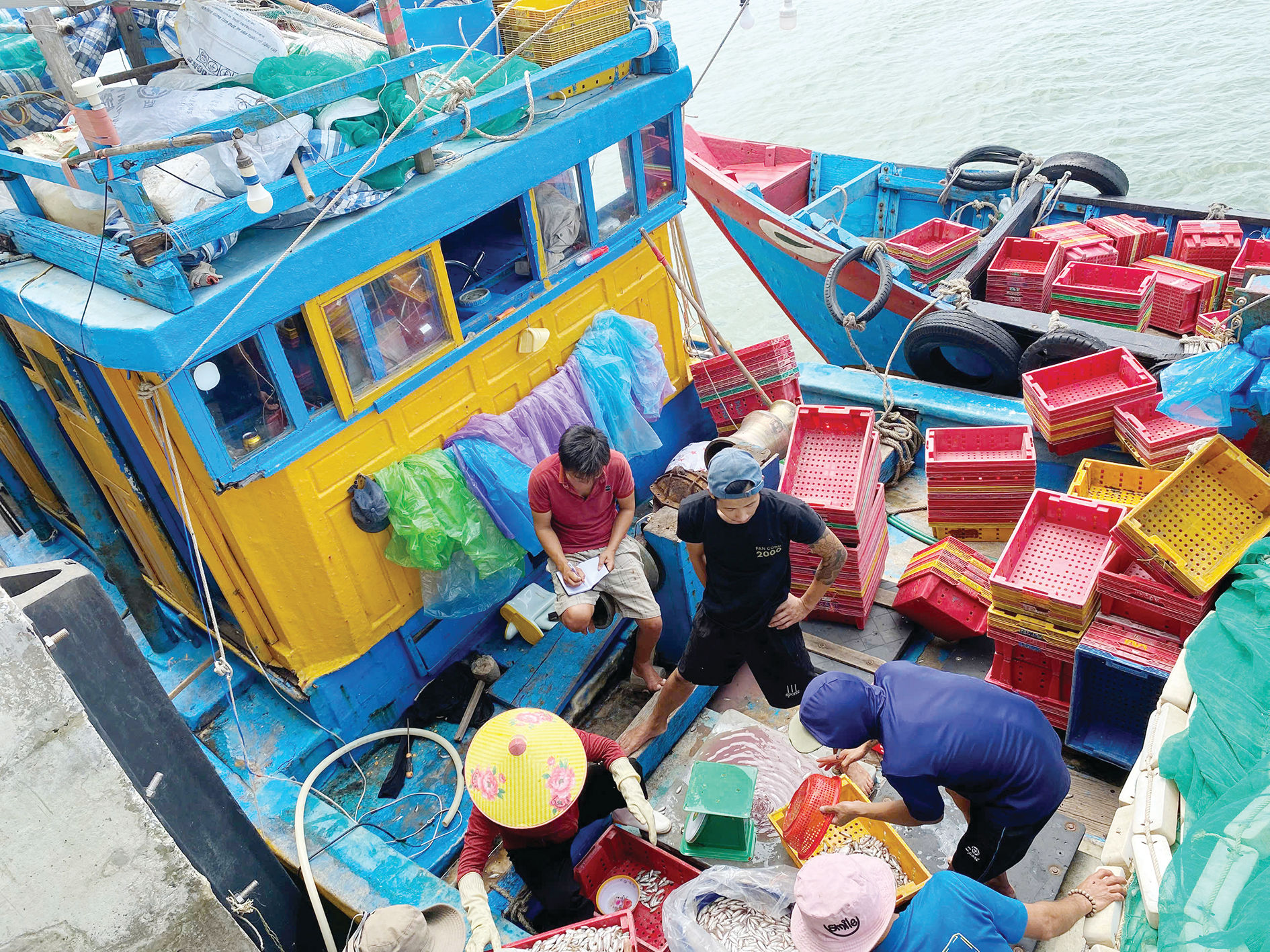 Ngư dân bốc dỡ sản phẩm tại cảng cá Cửa Tùng (Ảnh Khắc Trà)
