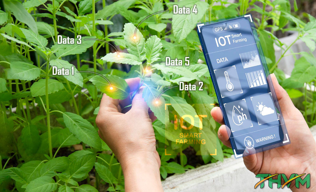 ung-dung-iot-trong-nong-nghiep.jpg