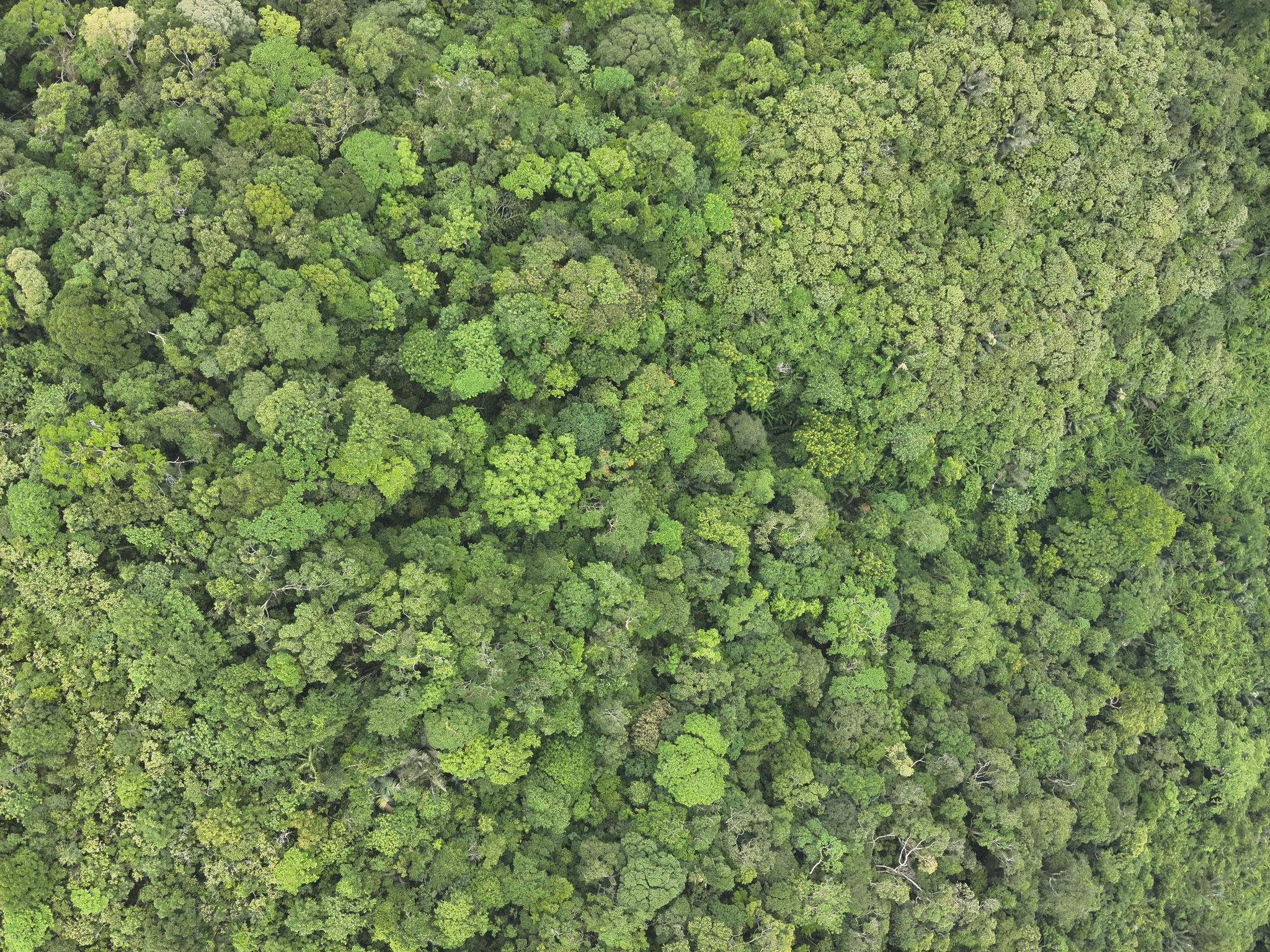 z7974565911691_0ca1f99e90556e72723100395e49918d.jpg