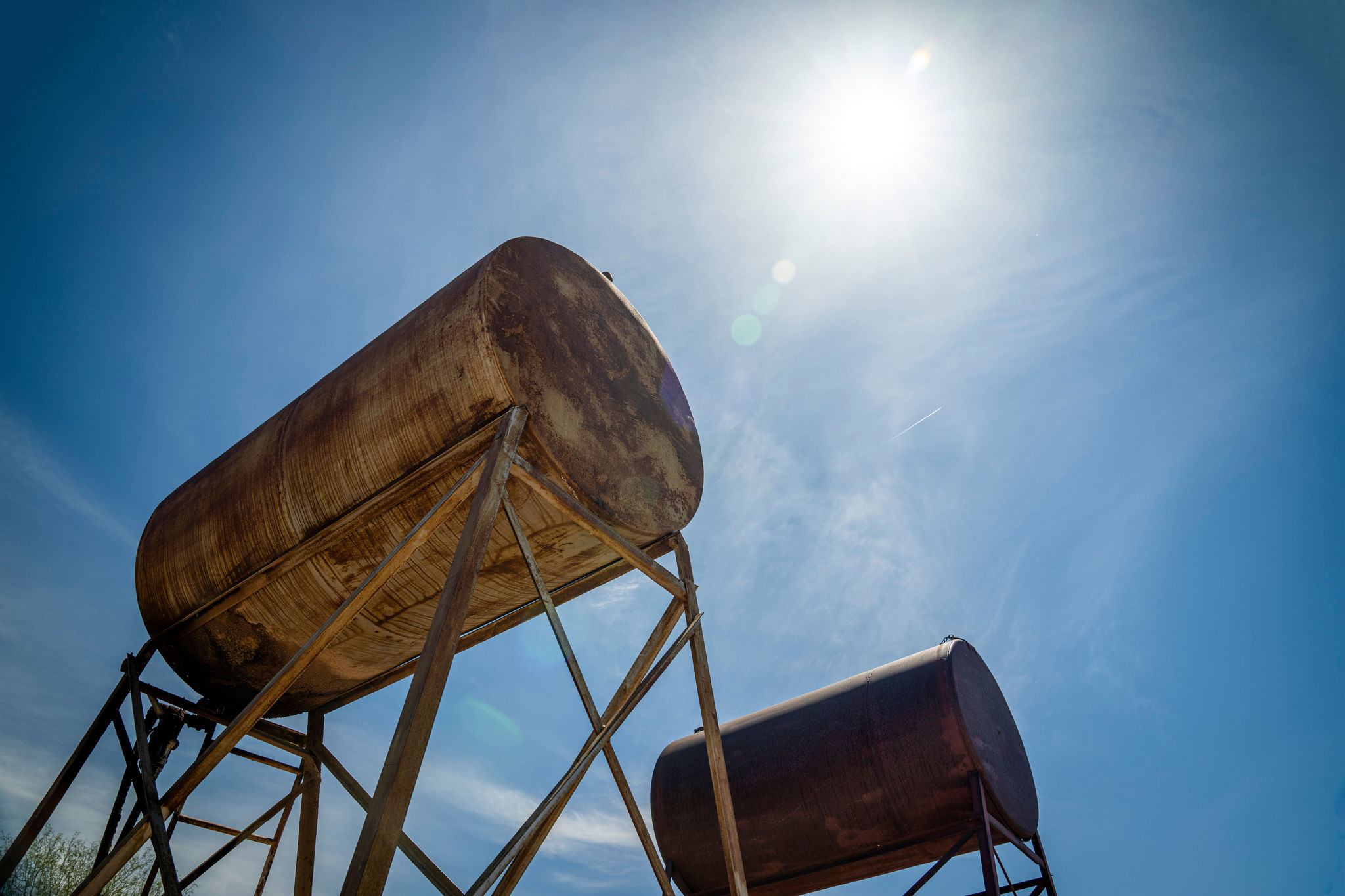 pexels-nc-farm-bureau-mark-11678741 (1)
