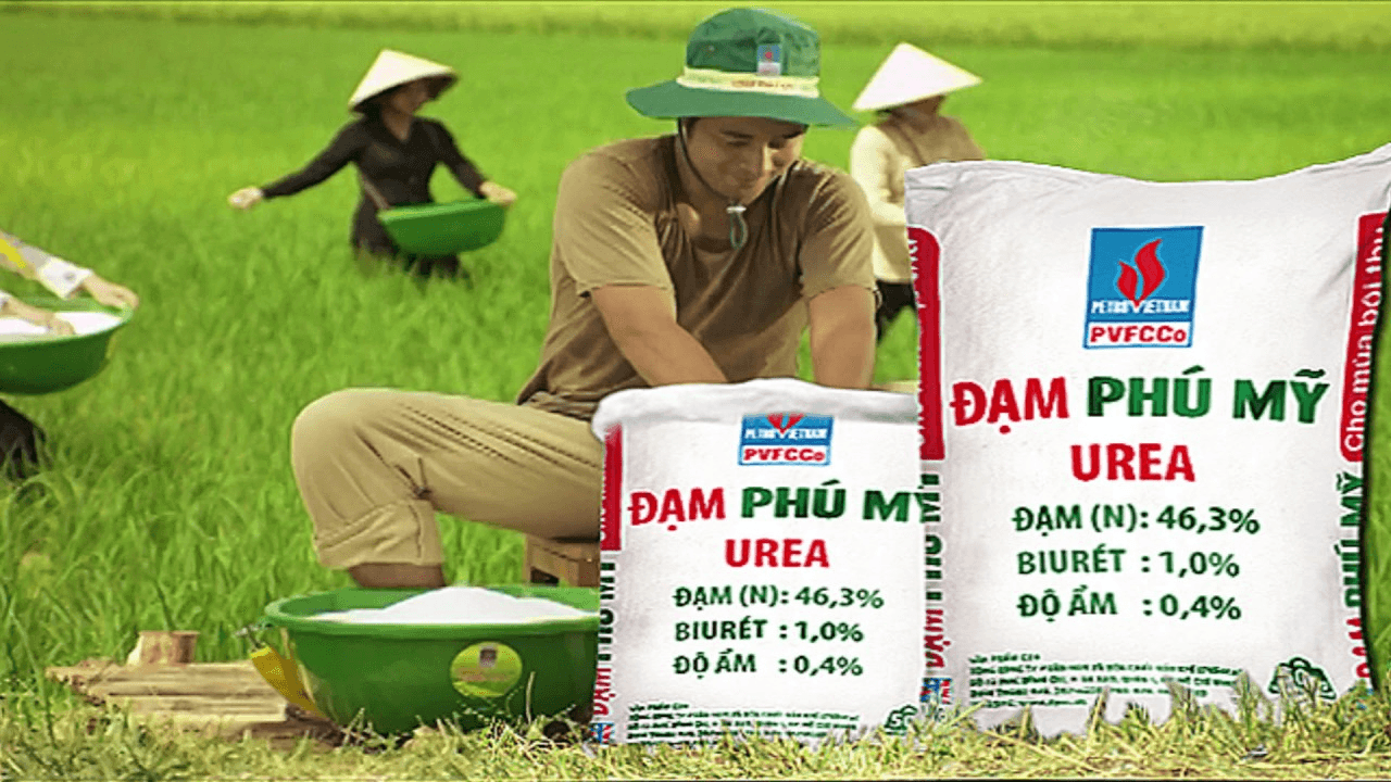 dam-phu-my.png