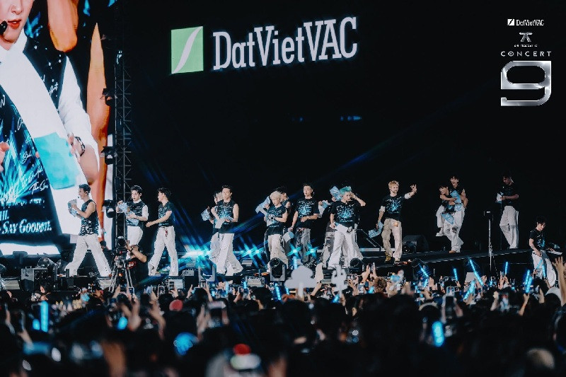 DVAC 11