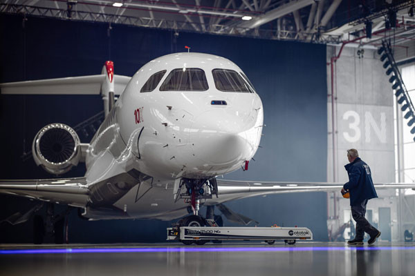 falcon_10x_29.jpg