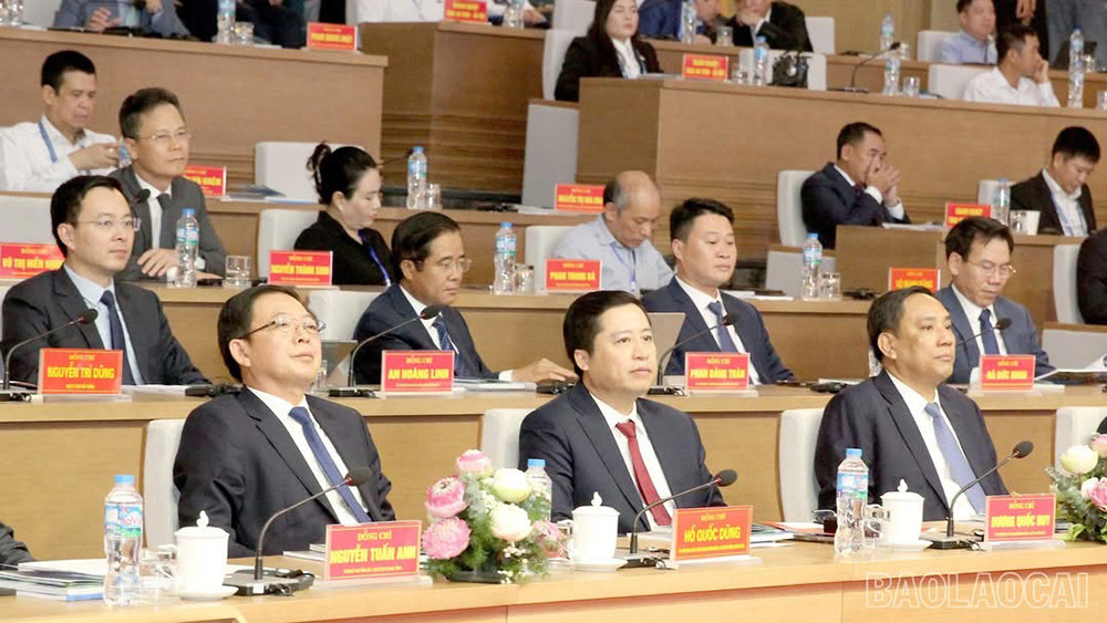 Ảnh 1 (12)