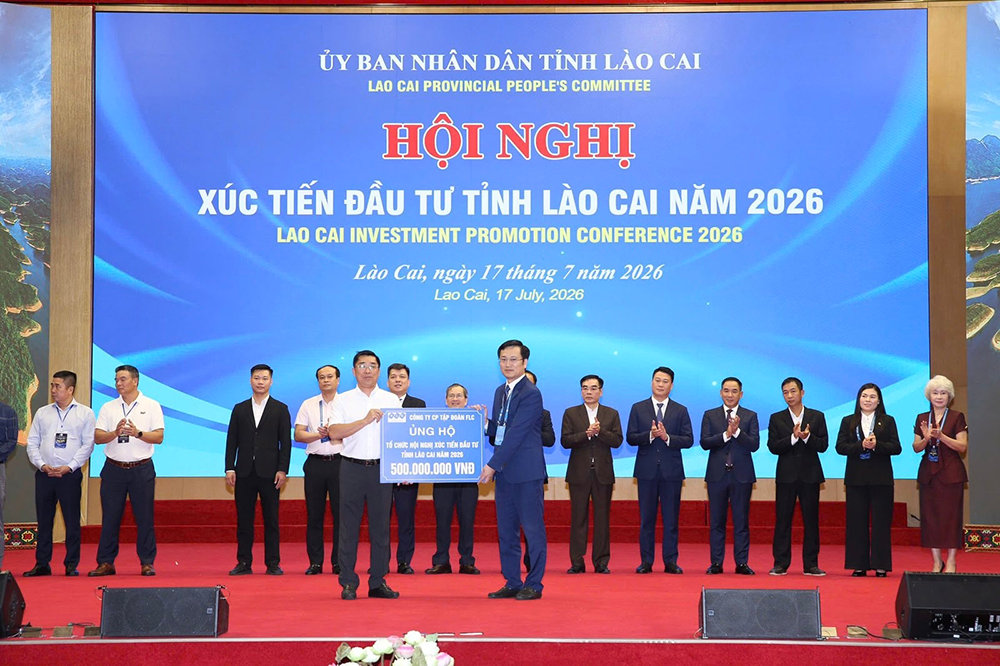 Ảnh 3 (11)