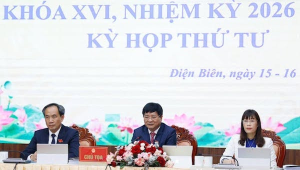 anh L.T.Đô