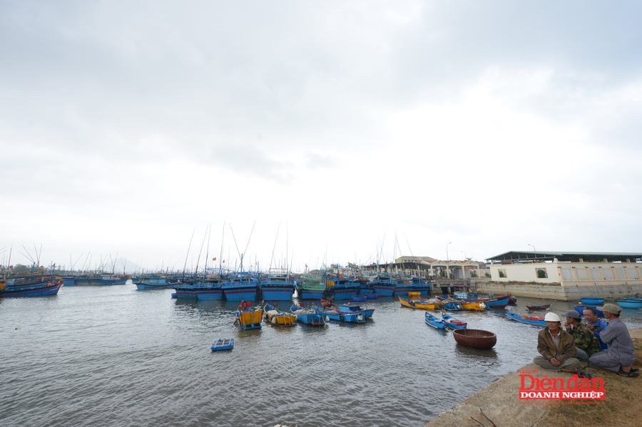 QT2_6075 (1)