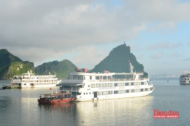 sua-luat-tai-nguyen-moi-truong-va-hai-dao-21.7.2.jpg