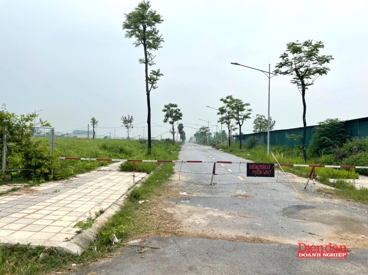 Bảng giá đất được xây dựng theo loại đất, khu vực, vị trí. Ảnh: LV