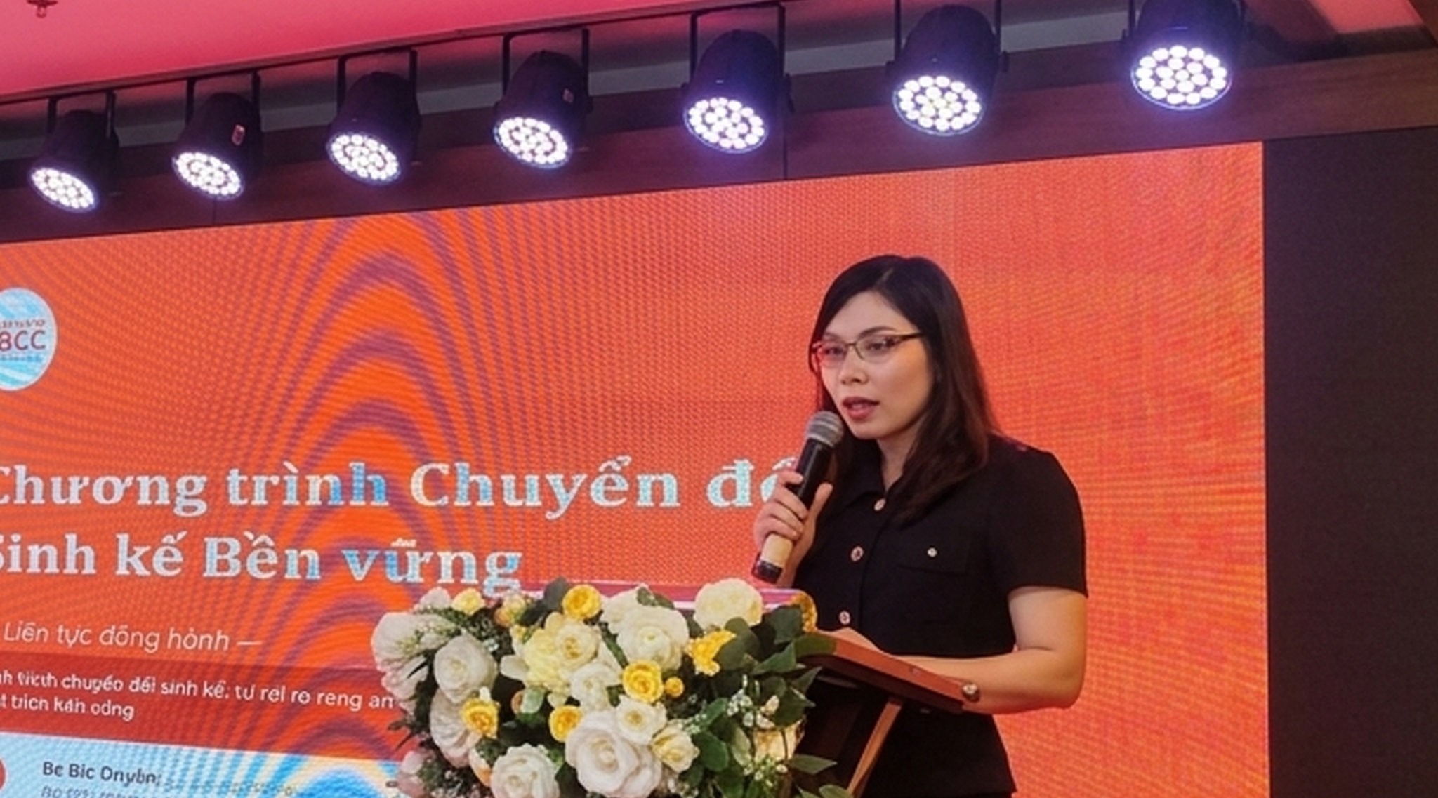 ảnh đại diện SBCC Việt Nam