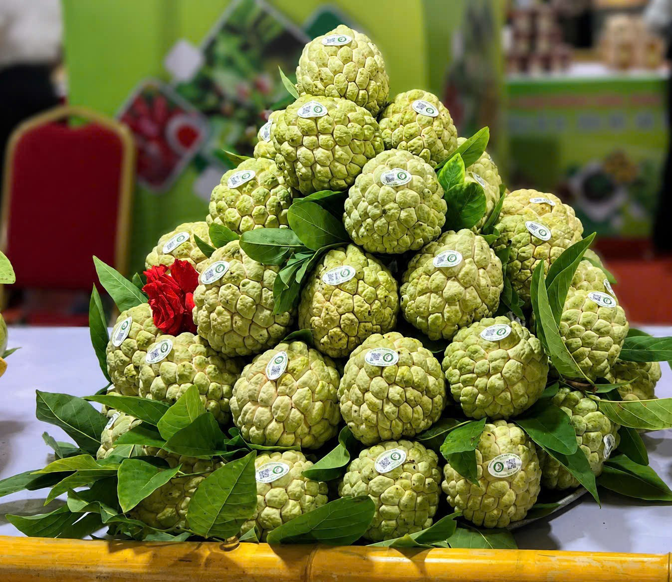Na Lạng sơn