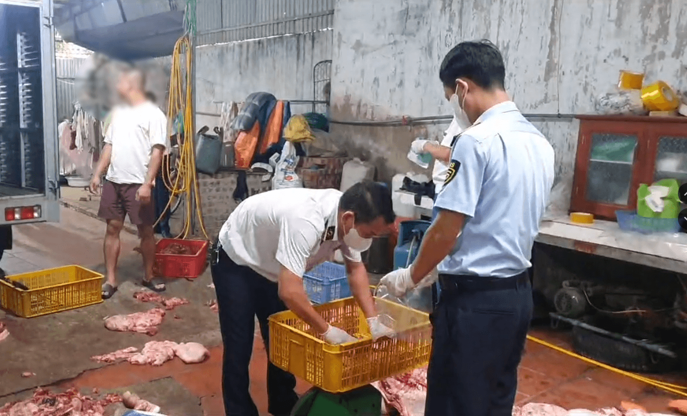  uá trình xác minh, chủ cơ sở khai nhận số hàng hóa được thu mua từ nhiều nguồn, trong đó người bán cho biết là lợn yếu hoặc lợn chết nên được bán với giá thấp hơn giá thị trường. Sau khi thu mua, số thịt được đưa về cơ sở để sơ chế, pha lọc rồi tiêu thụ làm thực phẩm.