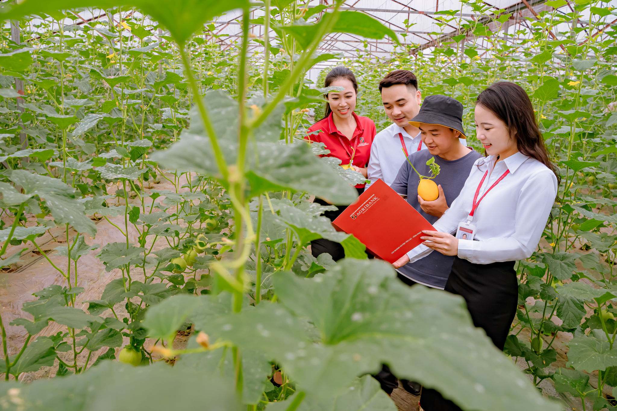 Agribank góp phần phát triển kinh tế xanh, kinh tế tuần hoàn