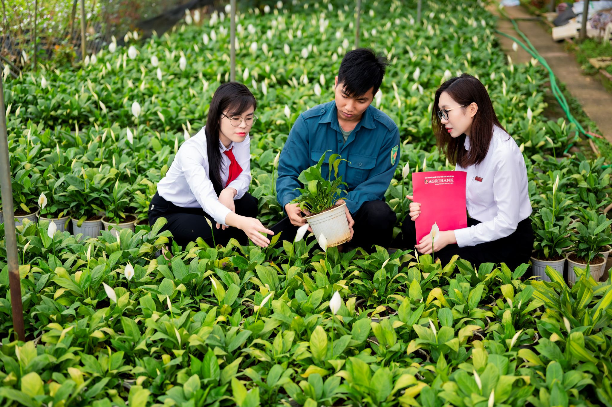 Agribank kiên định sứ mệnh phục vụ Tam nông trong hành trình phát triển