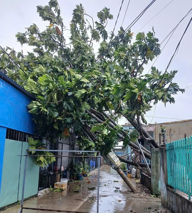 307-202608140904522.jpg