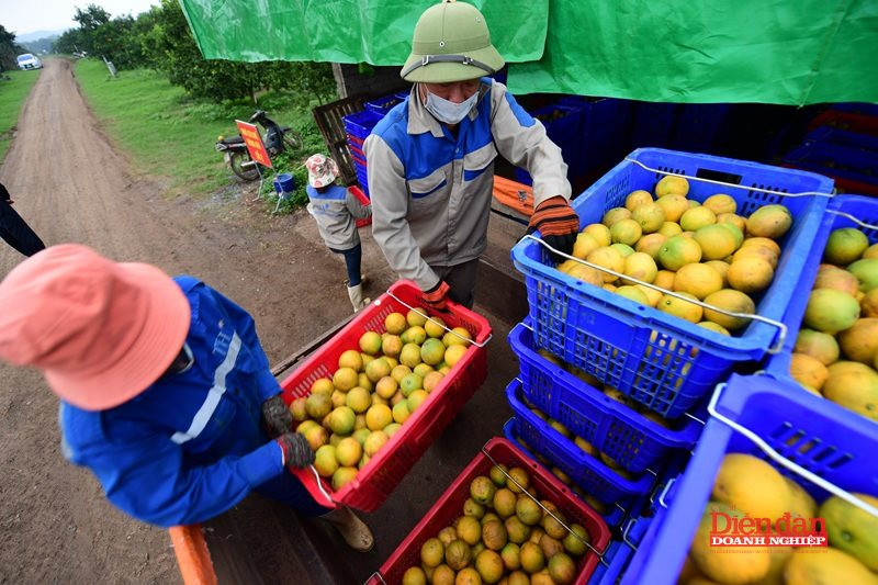 nong-nghiep-moi-truong-14.8.1.jpg