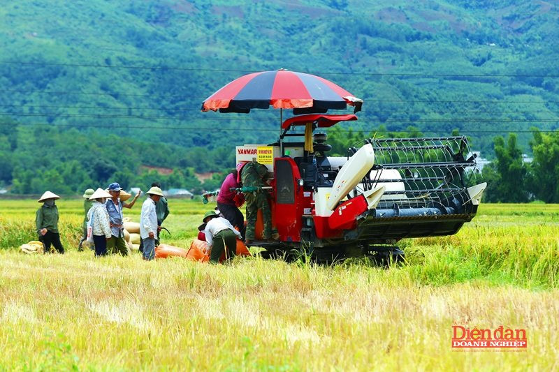 nong-nghiep-moi-truong-14.8.2.jpg