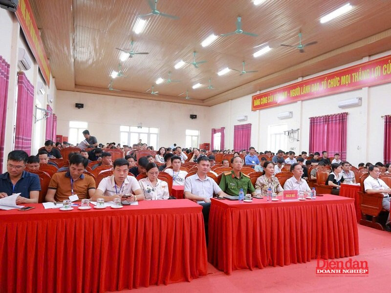 dau gia dat thieu trung (3)