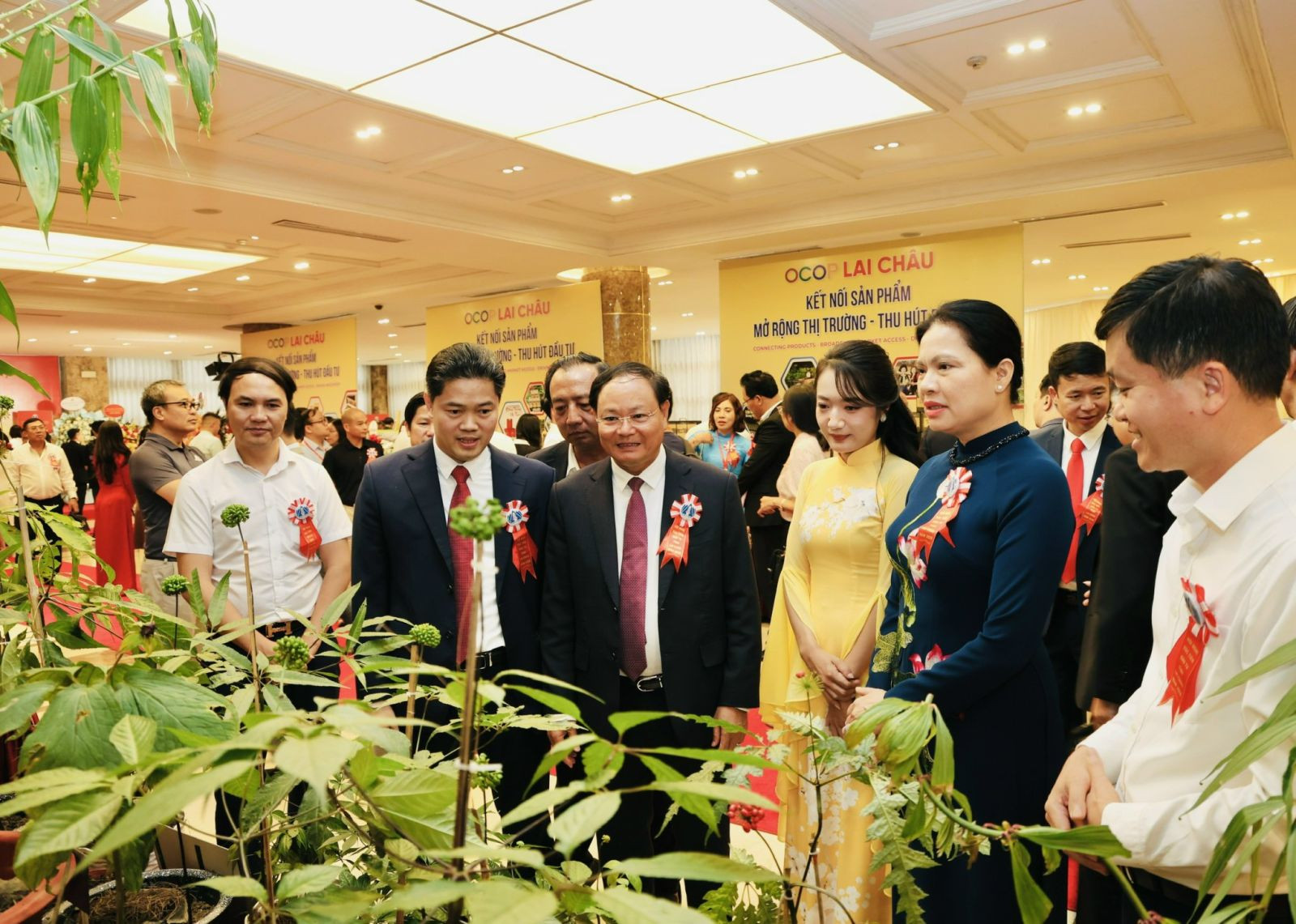 _lãnh đạo MTTQ Việt Nam, lãnh đạo bộ, ngành, tỉnh Lai Châu cùng tham quan gian trưng bày cây Sâm Lai Châu
