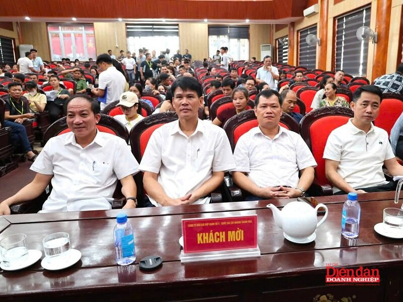 đấu giá đất Đạt Tài (4)