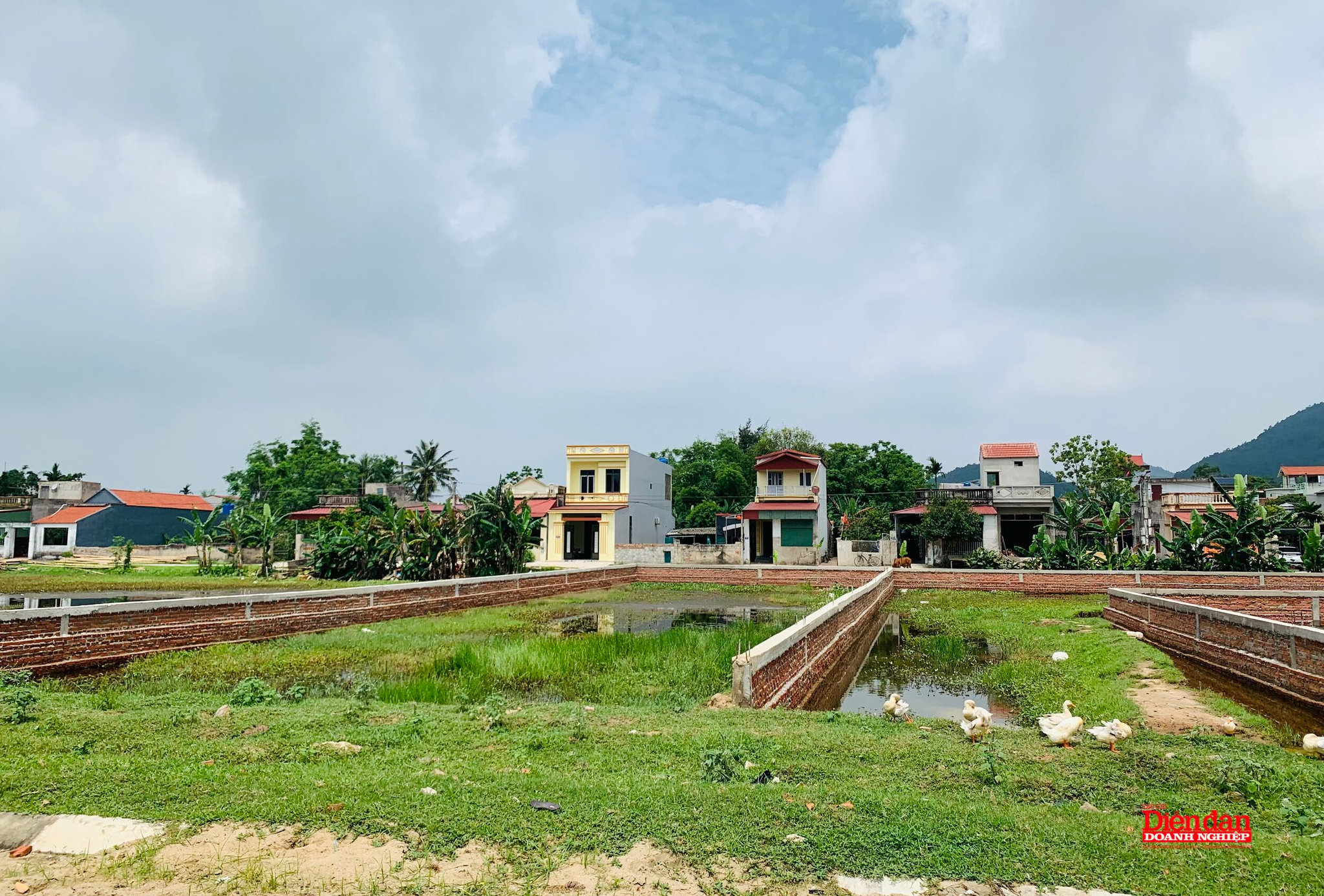 Bản sao IMG_3623