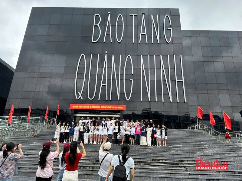 dl-qn.jpg