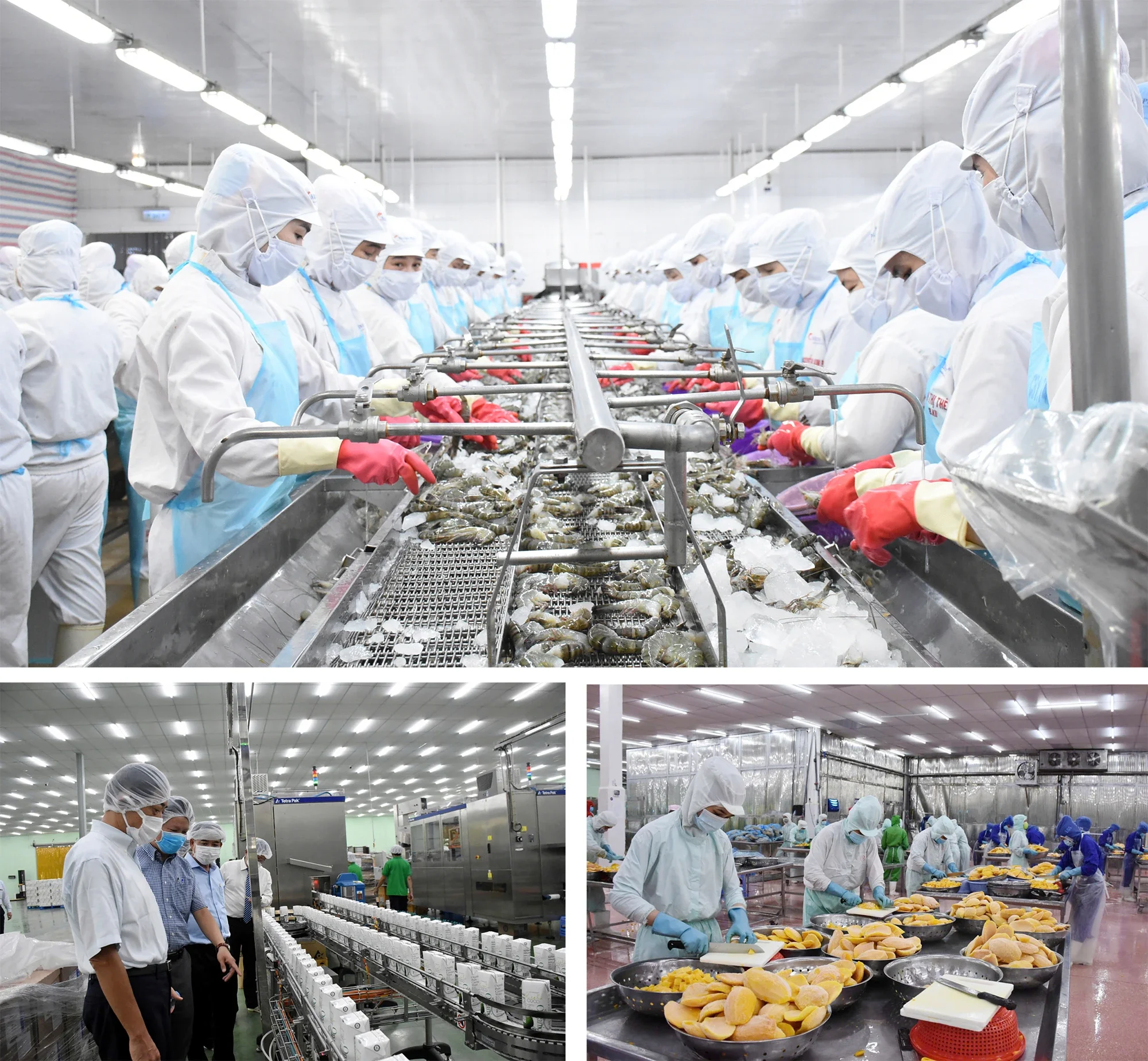 Công nghiệp chế biến thế mạnh Vĩnh Long