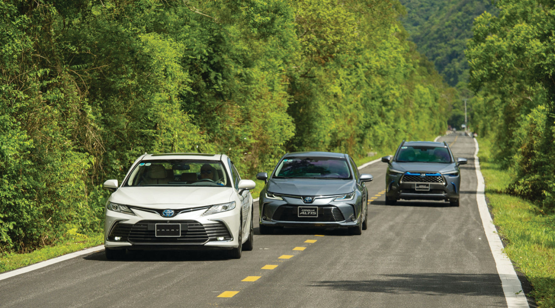 Xe hybrid giảm đáng kể mức tiêu thụ nhiên liệu và lượng phát thải CO2 mà không làm thay đổi quá nhiều thói quen sử dụng của người dân.