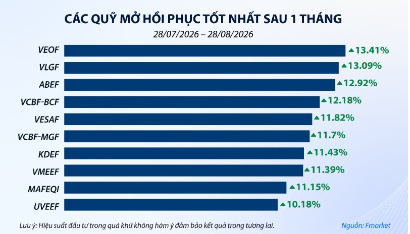 quy mo 9
