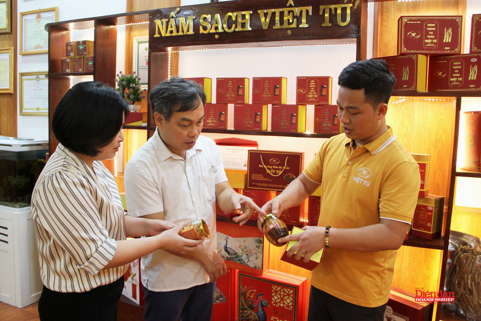 việt tú