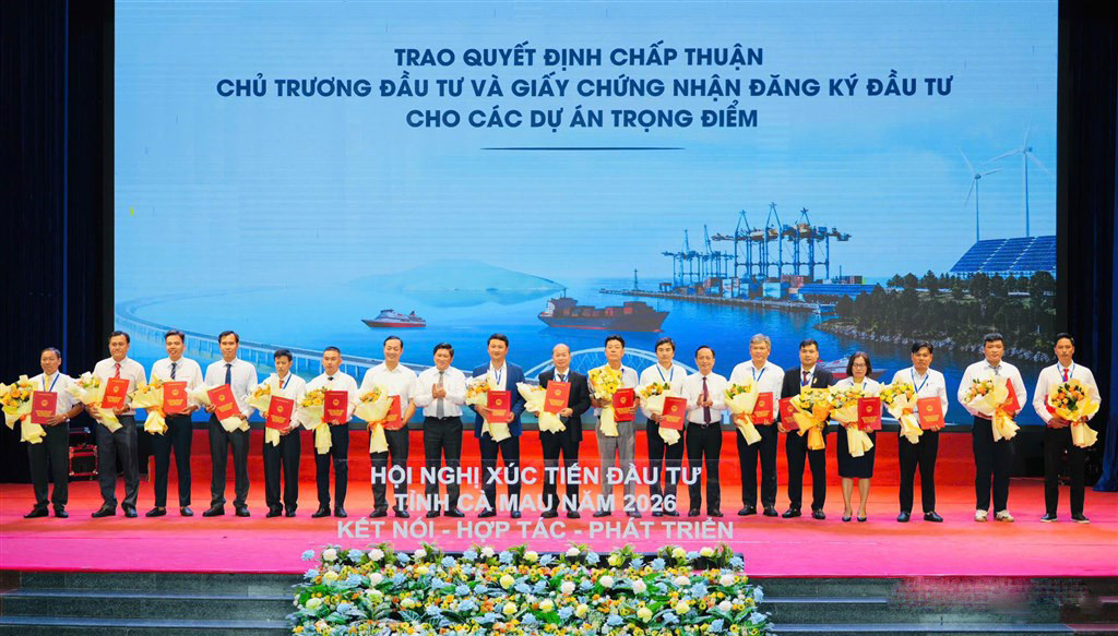 4cm.jpg