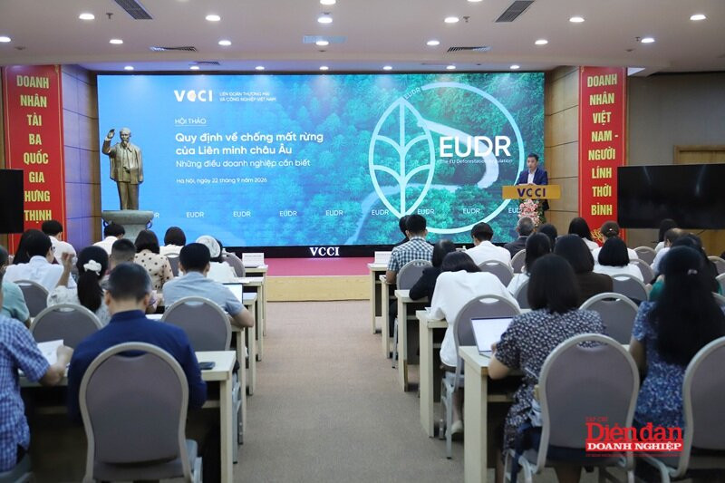 eudr-22.9.2.jpg