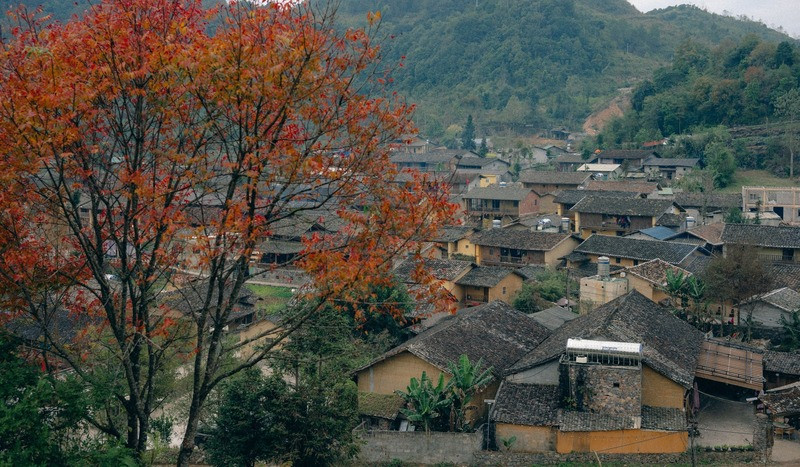 lo-lo-chai.jpg